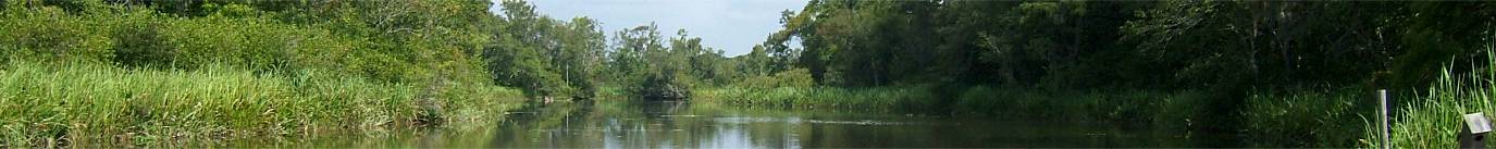 airboat tour charleston sc