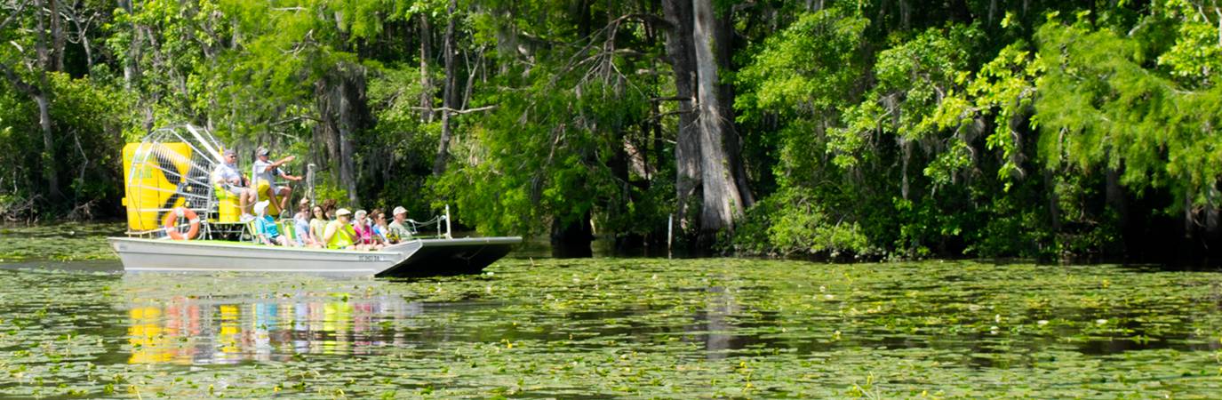 plantation river tours